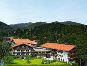 Гостиница Hotel Alpenhof, Бад-Виззее